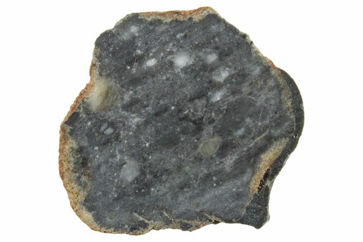 Lunar Meteorite ( g) Slice - Bechar #348180